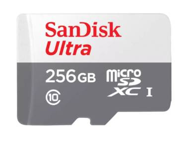 Micro SD SANDISK SDSQUNR-256G-GN6TA
